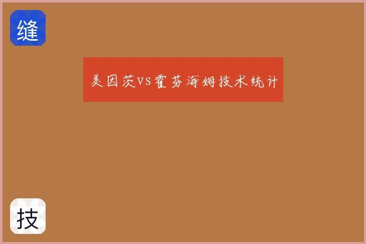 美因茨vs霍芬海姆技术统计